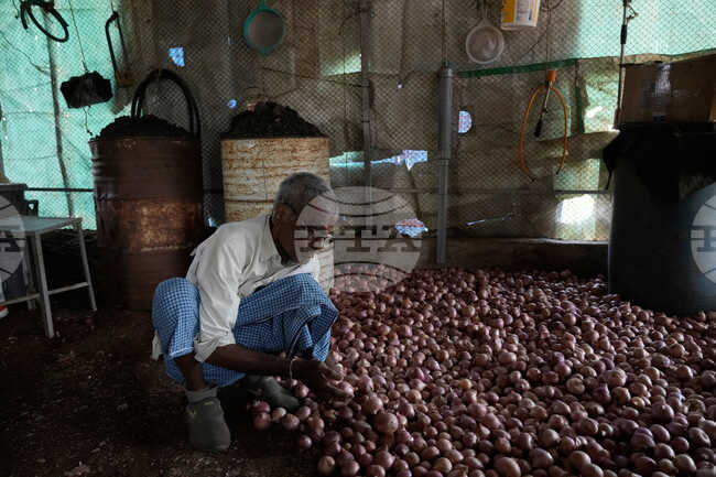 Iran War Fertilizer