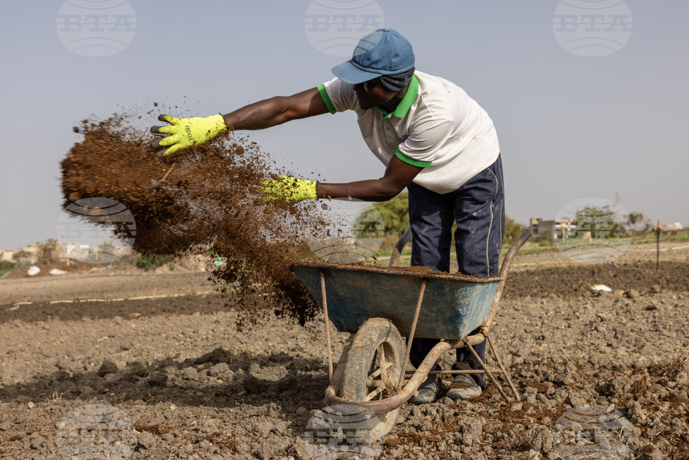 Iran War Fertilizer