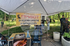 Разград - домашни любимци - празник