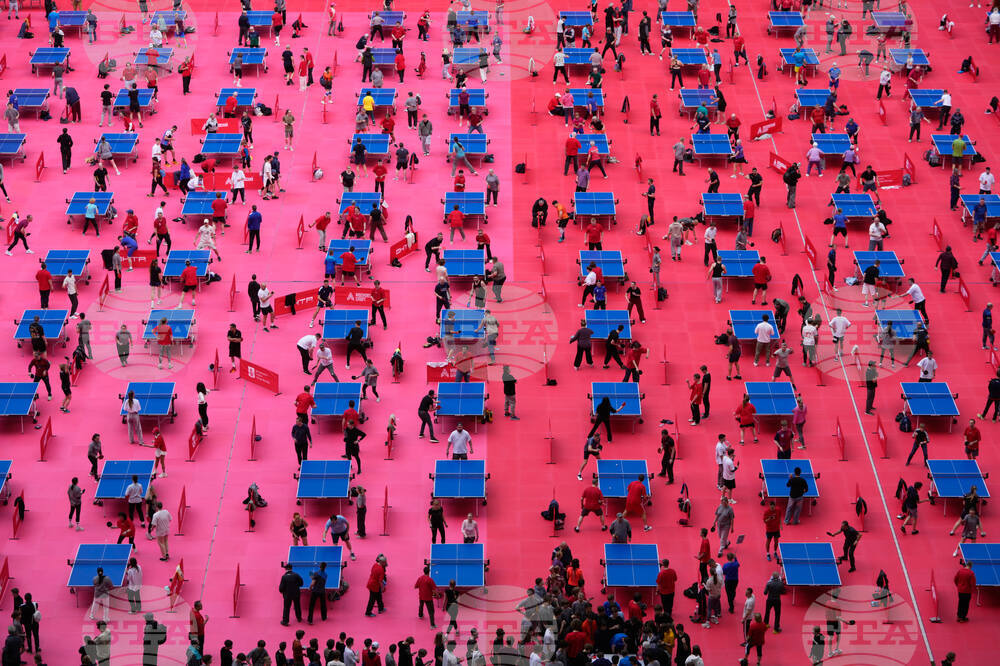 Russia Table Tennis Festival