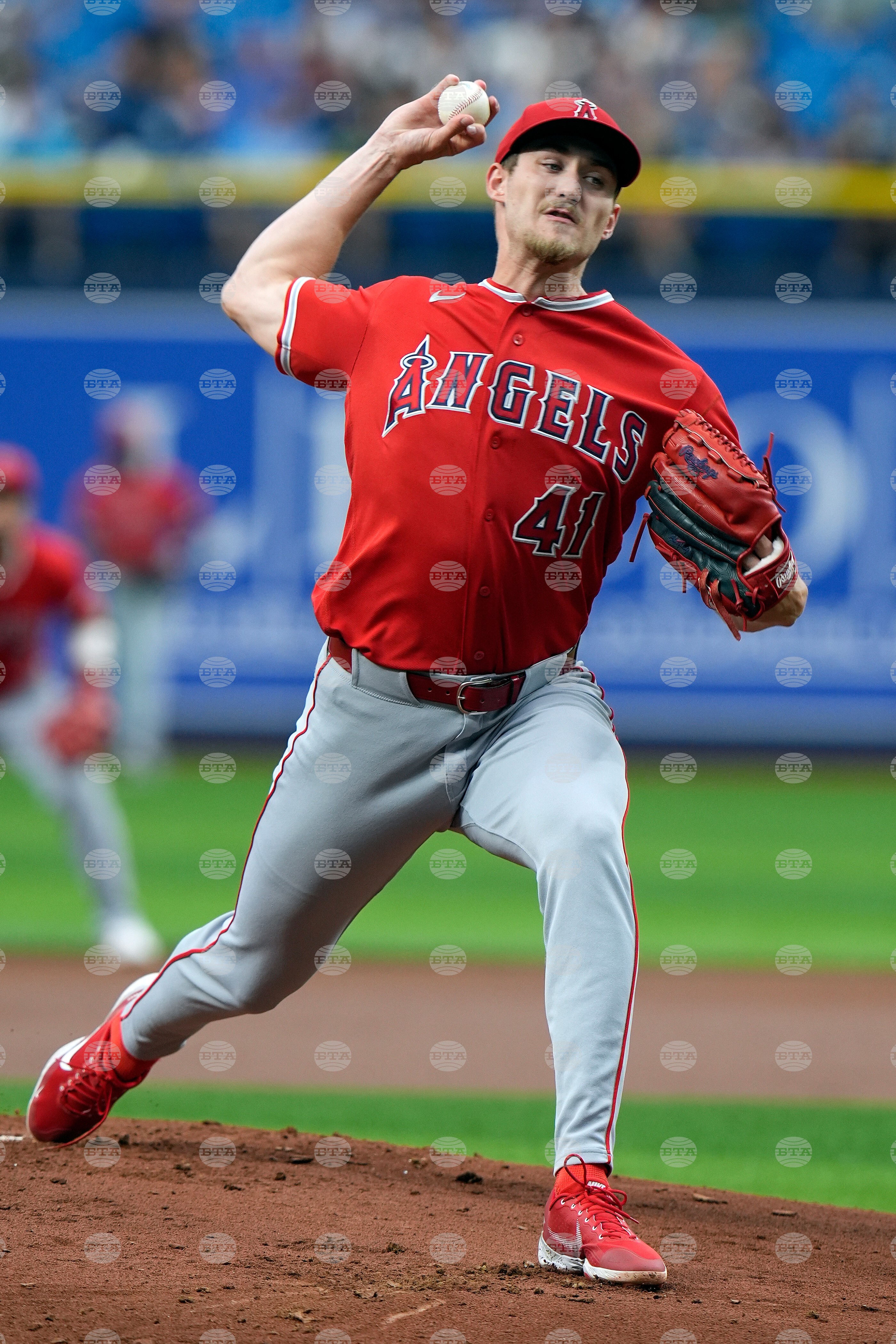 Angels Rays Baseball