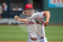 Red Sox Guardians Baseball