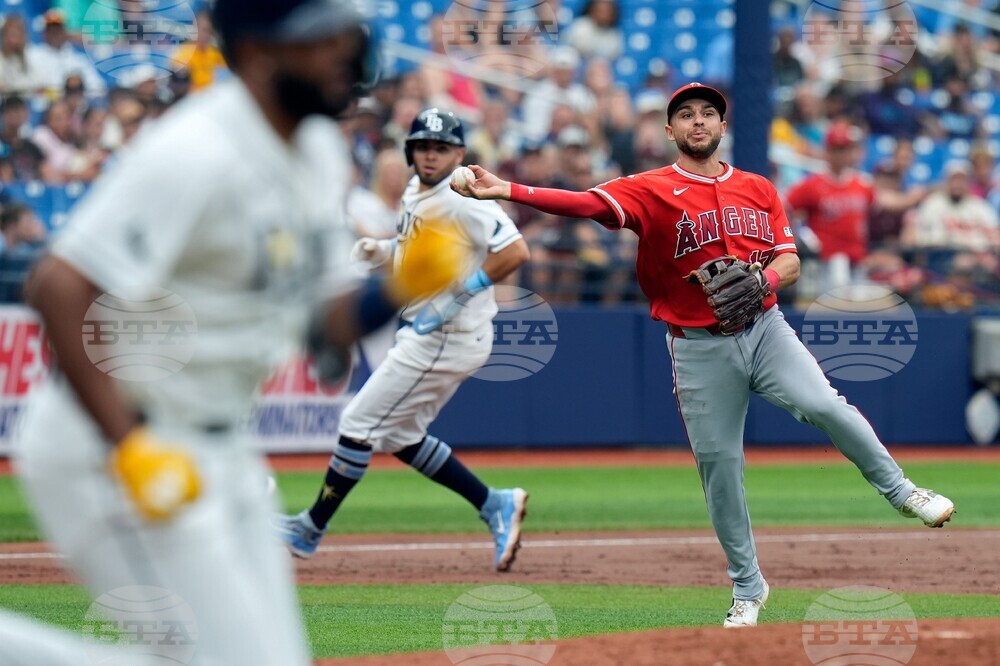 Angels Rays Baseball