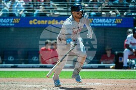 Red Sox Guardians Baseball
