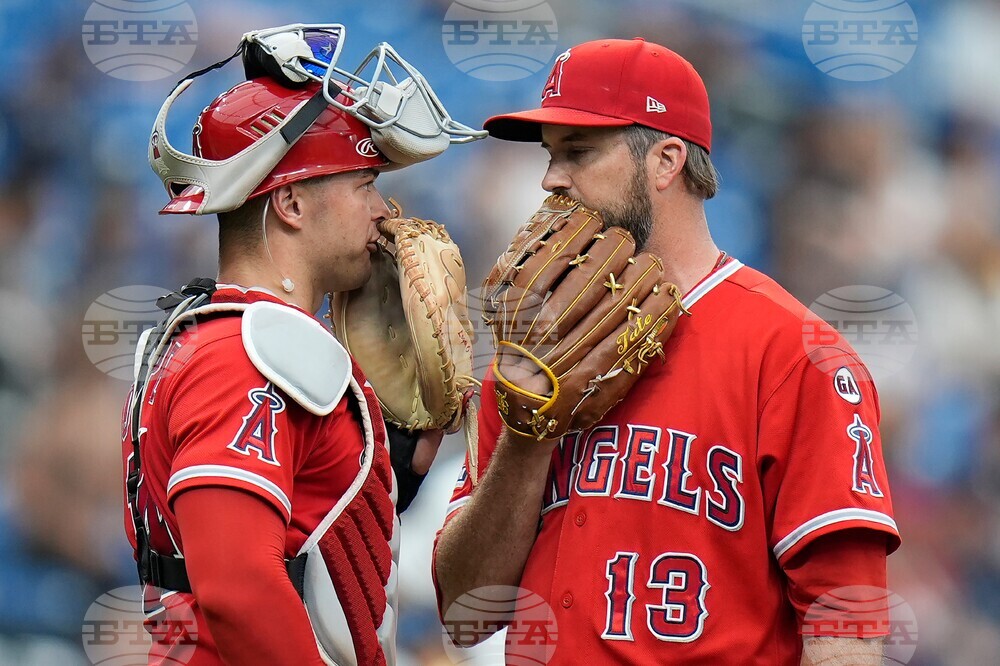 Angels Rays Baseball