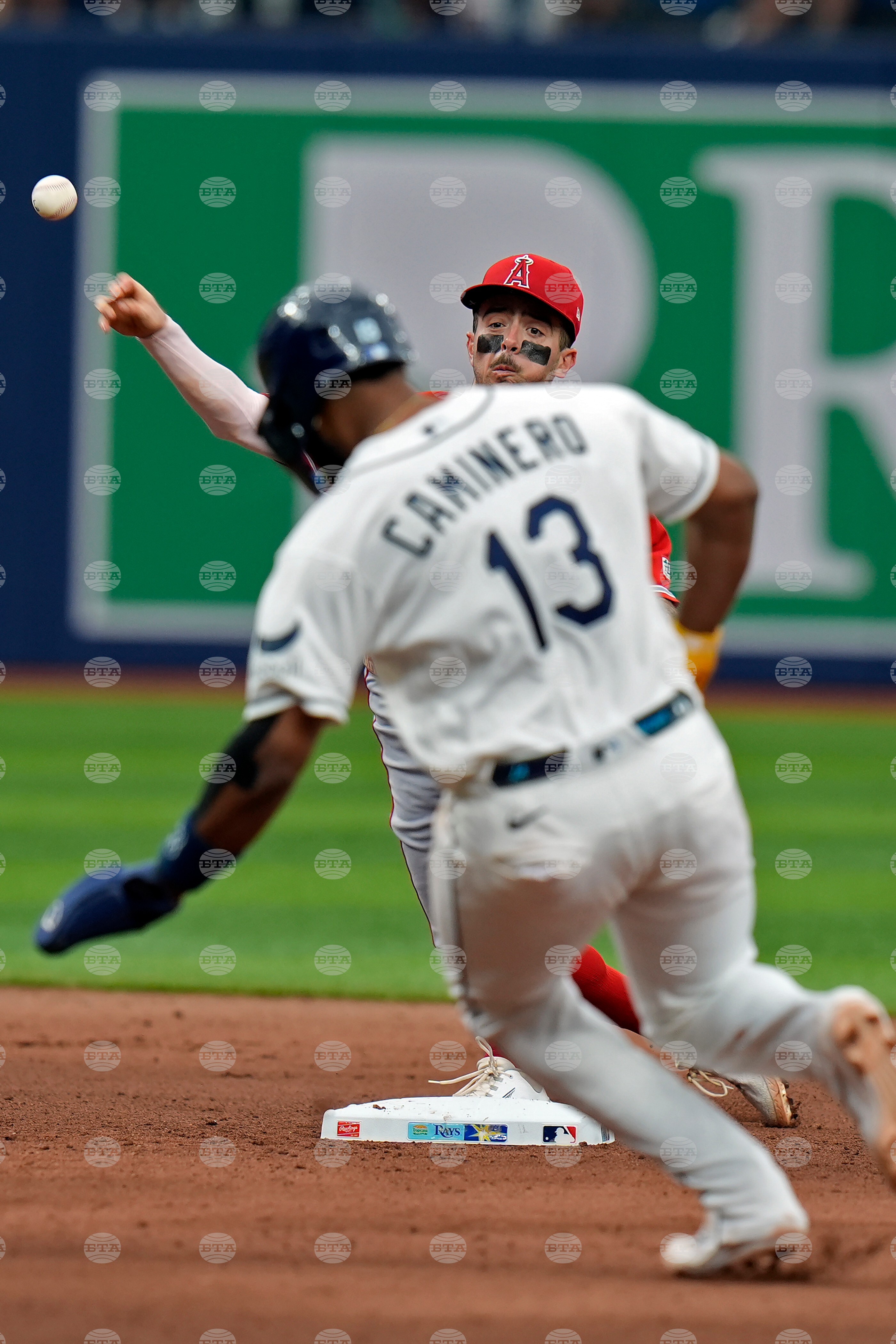 Angels Rays Baseball