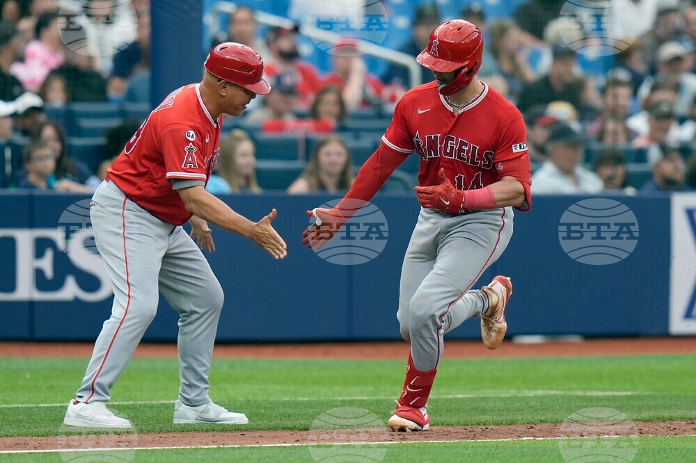 Angels Rays Baseball