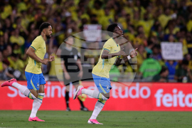 Brazil Panama Soccer