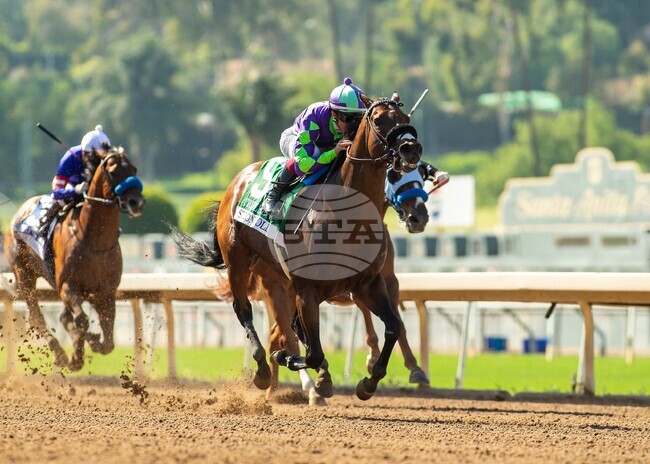 Santa Anita Horse Racing