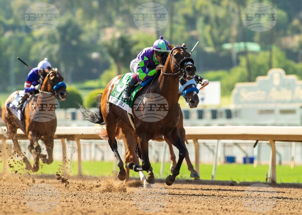 Santa Anita Horse Racing