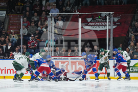 Canada Memorial Cup Hockey