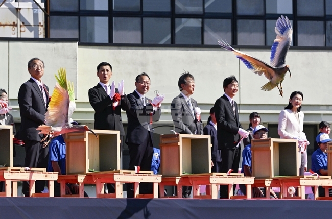 Japan Crested Ibises