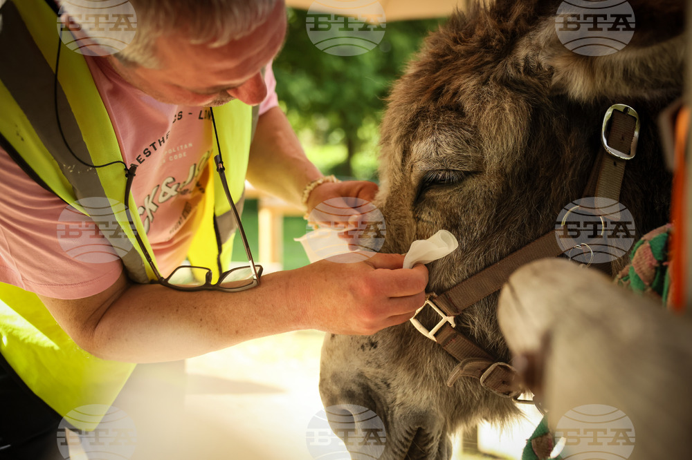 APTOPIX France Donkey Therapy
