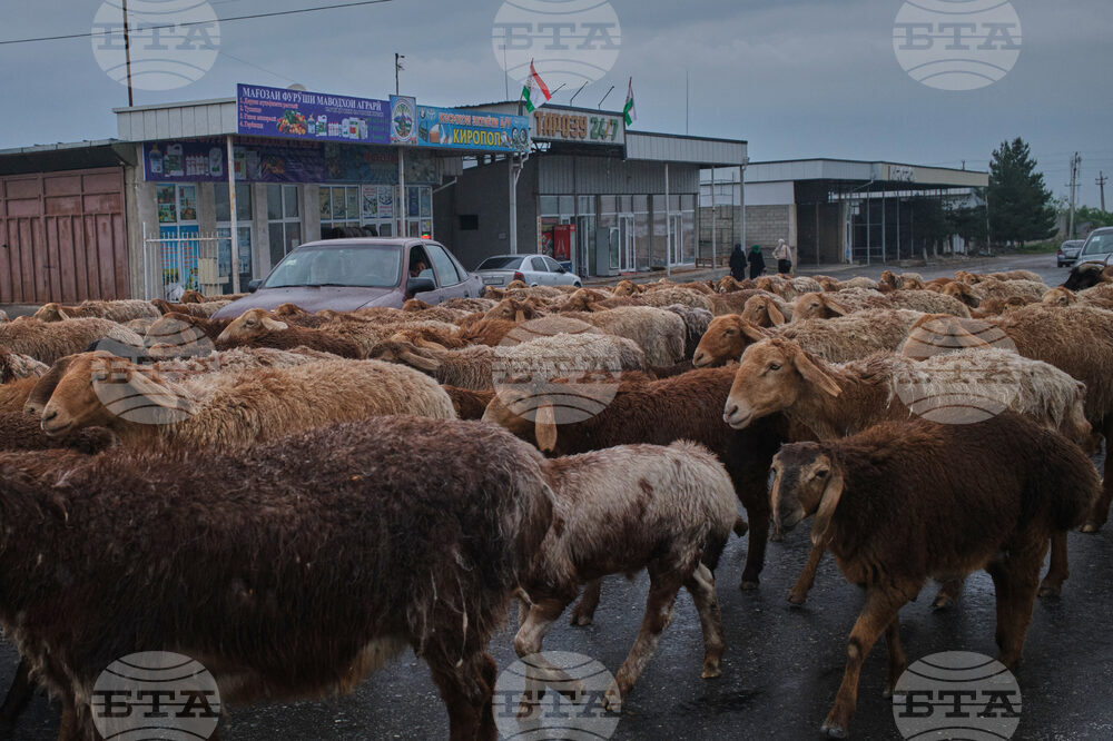 Tajikistan Photo Essay