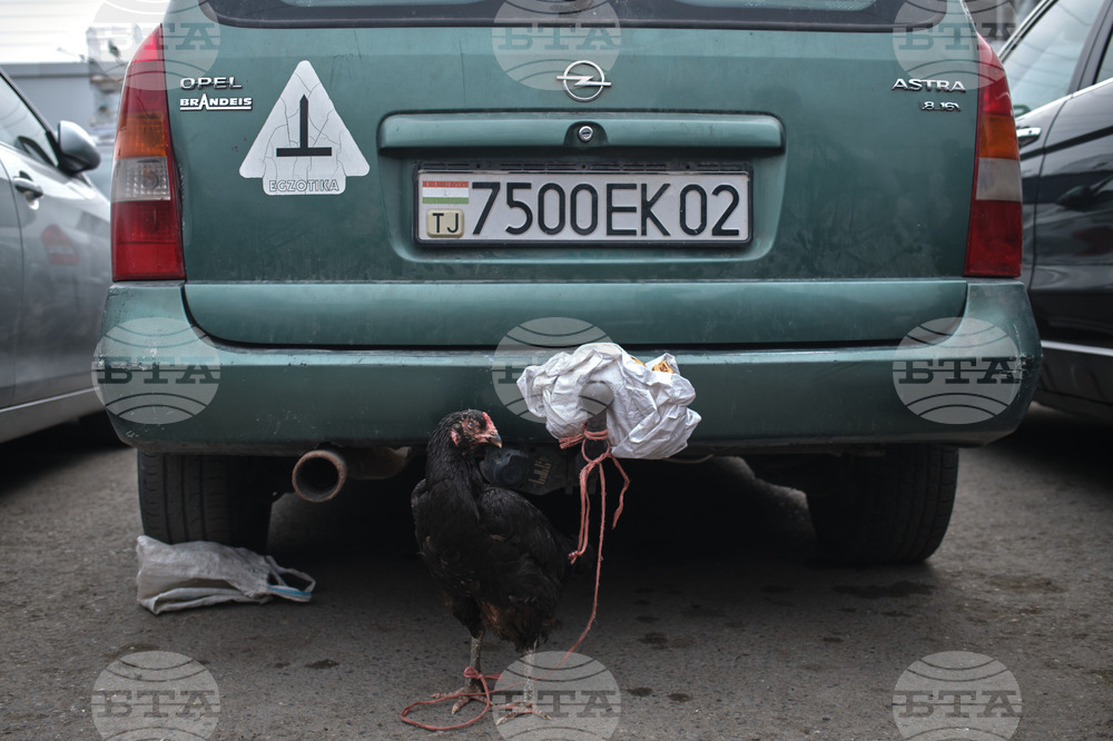 Tajikistan Photo Essay