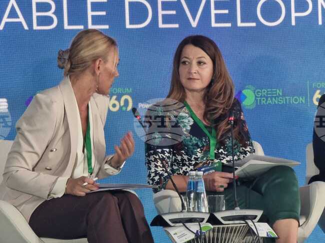 Deputy Minister Natova: We Are Transforming Ports Into Intermodal Logistics Centres