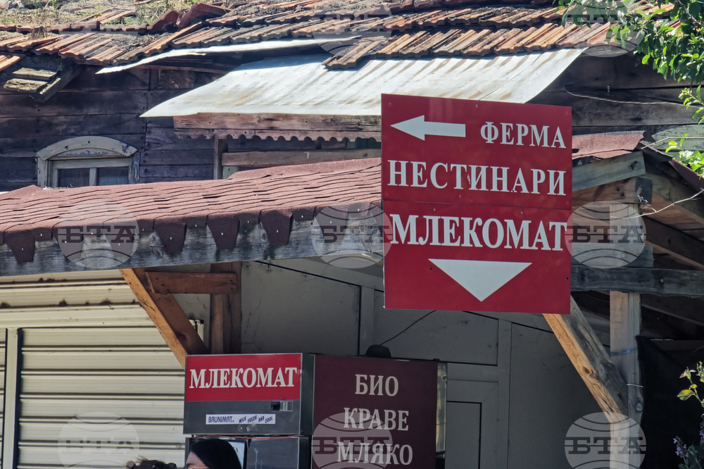 Ферма „Нестинари“ - Ново Паничарево - отворени врати