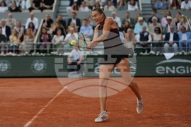 French Open Tennis