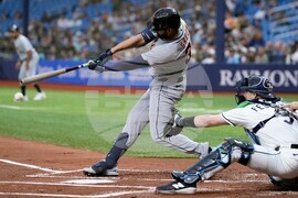 Tigers Rays Baseball