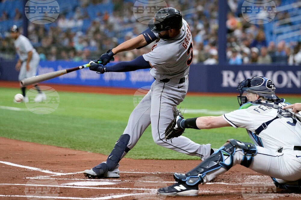 Tigers Rays Baseball