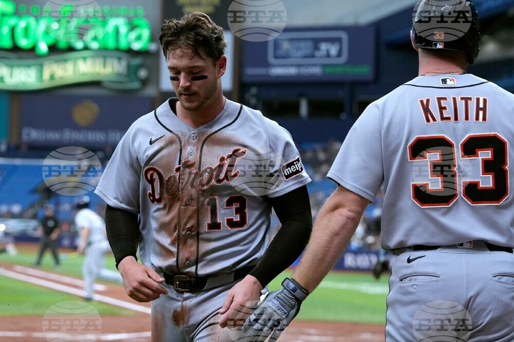 Tigers Rays Baseball