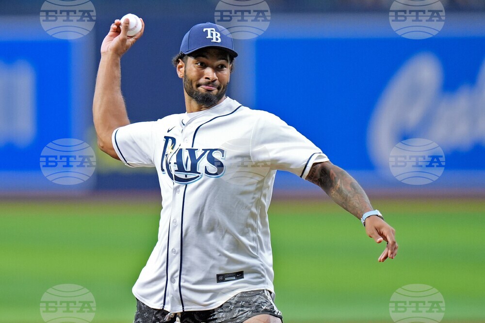 Tigers Rays Baseball