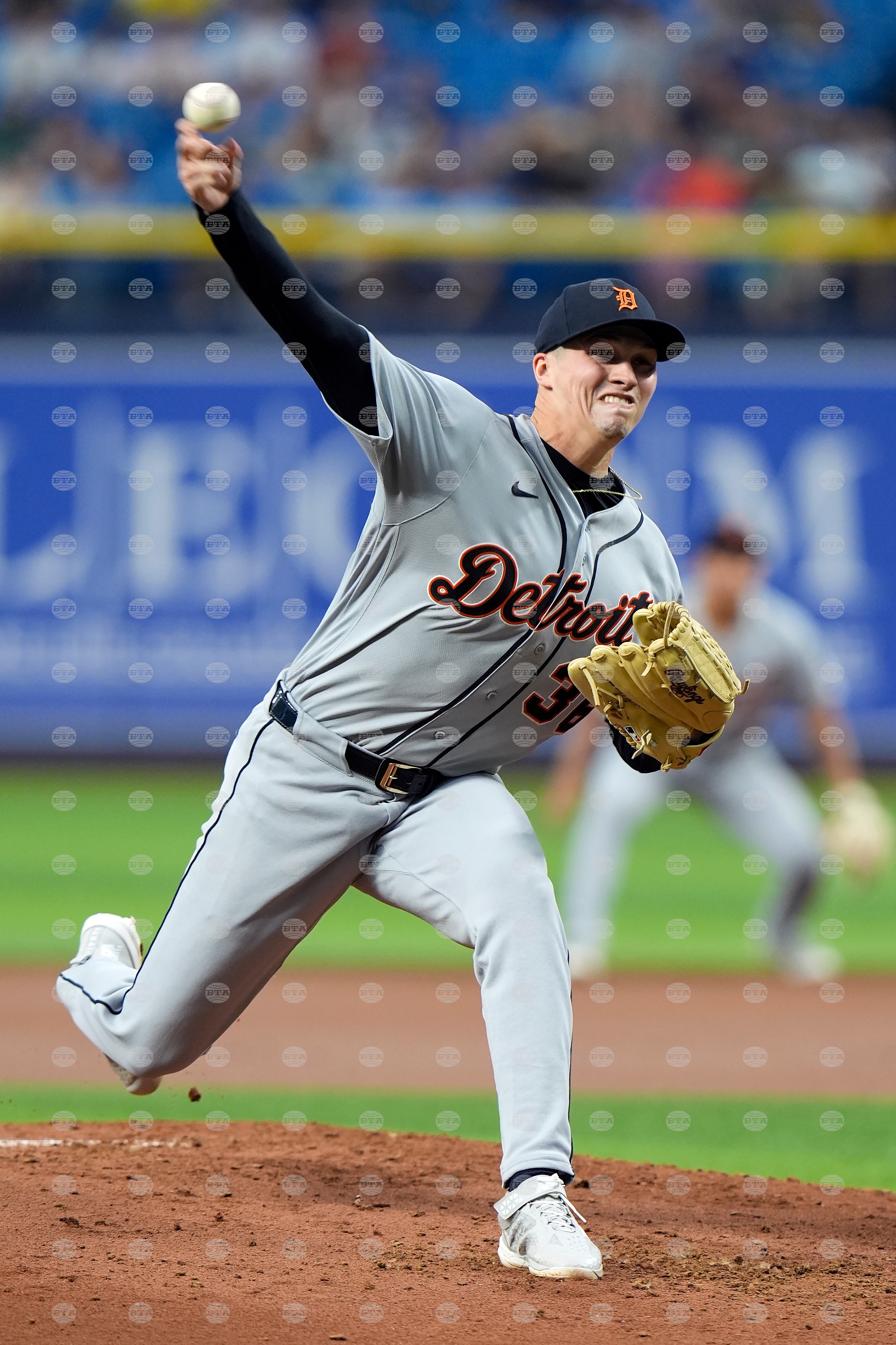Tigers Rays Baseball
