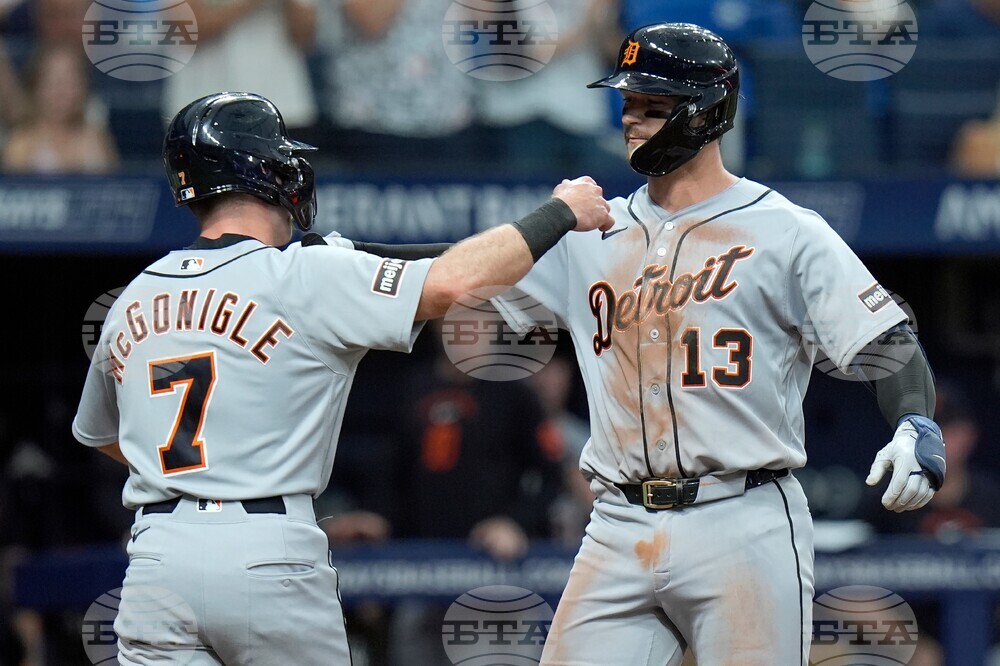 Tigers Rays Baseball
