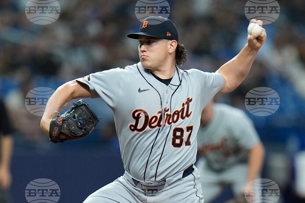 Tigers Rays Baseball