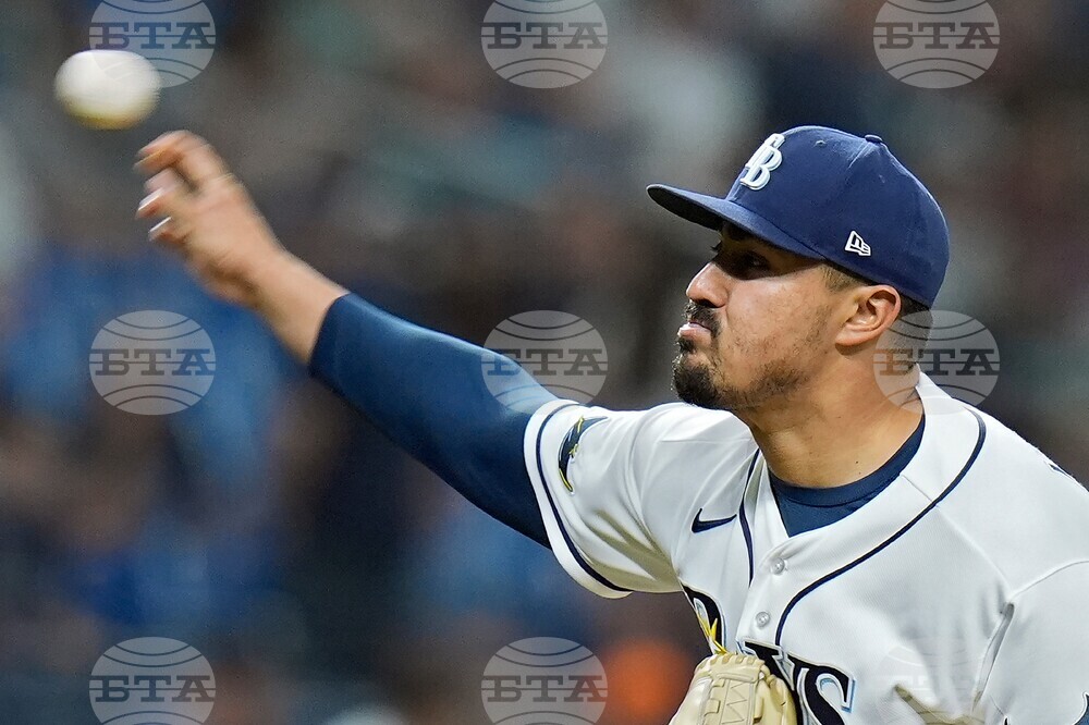 Tigers Rays Baseball