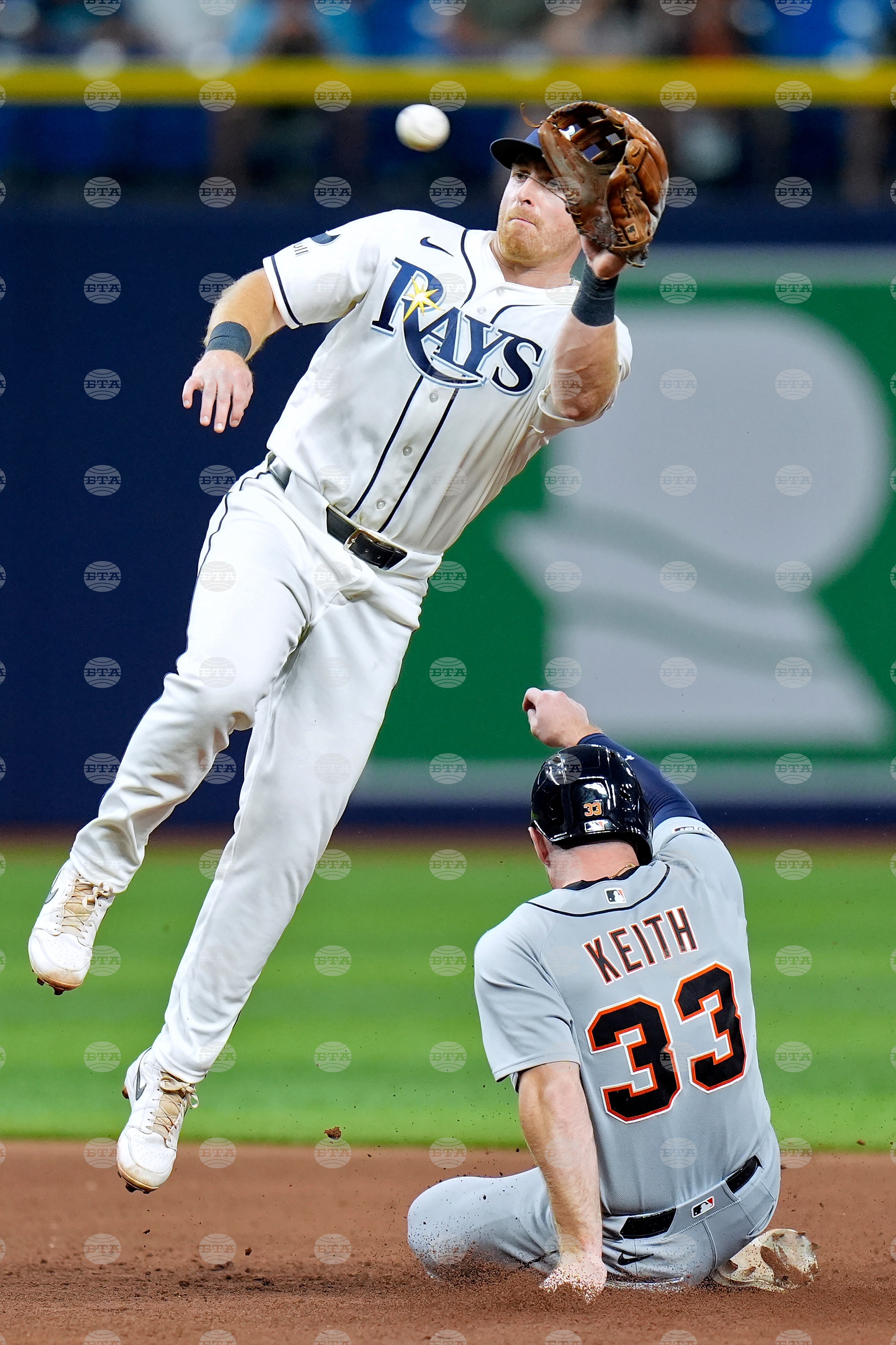 Tigers Rays Baseball