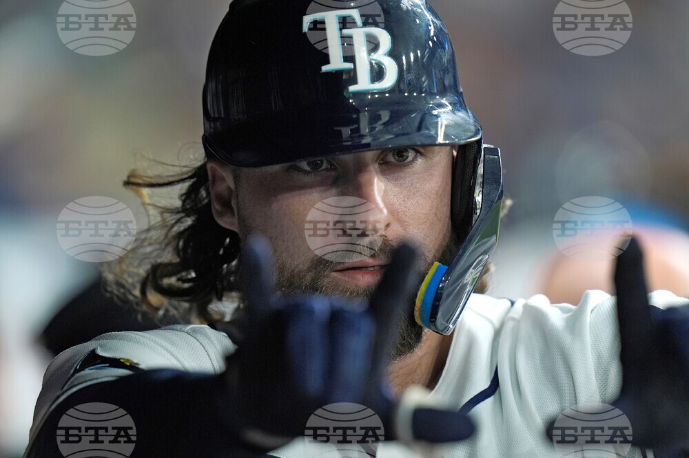 Tigers Rays Baseball