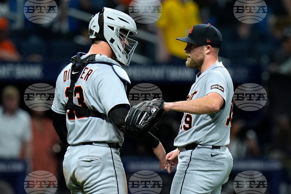 Tigers Rays Baseball