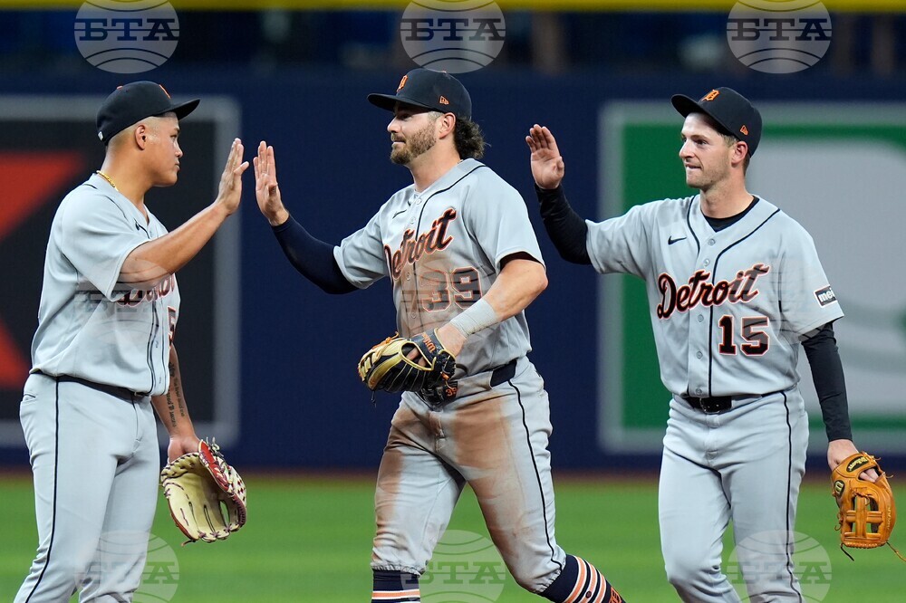 Tigers Rays Baseball