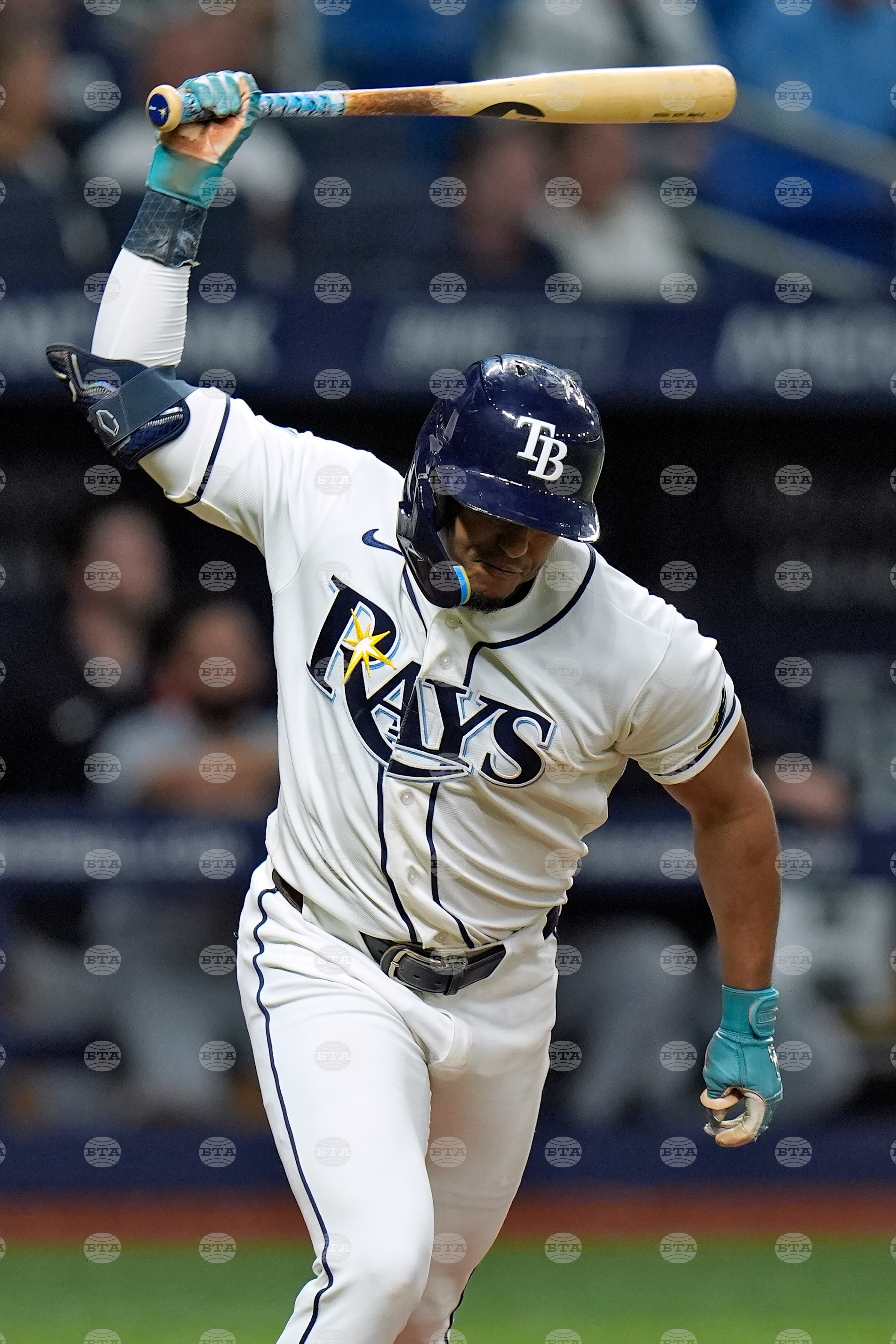 Tigers Rays Baseball