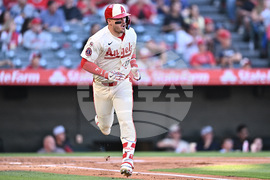 Rockies Angels Baseball