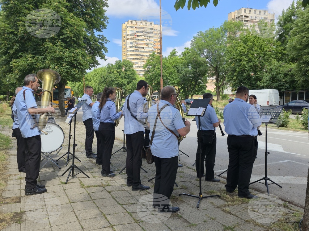 Видин - Ден на Ботев