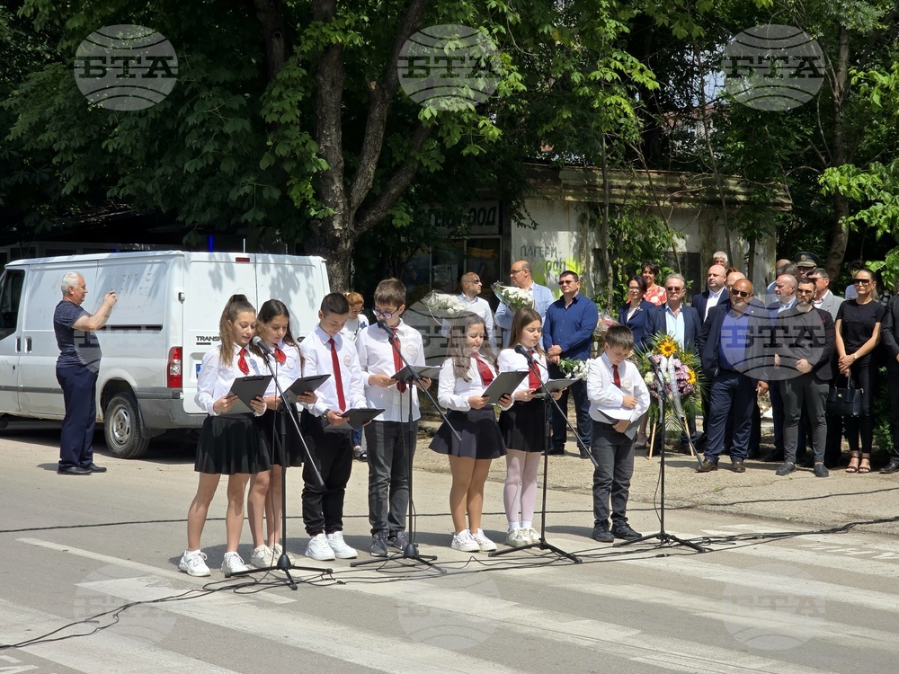 Видин - Ден на Ботев 