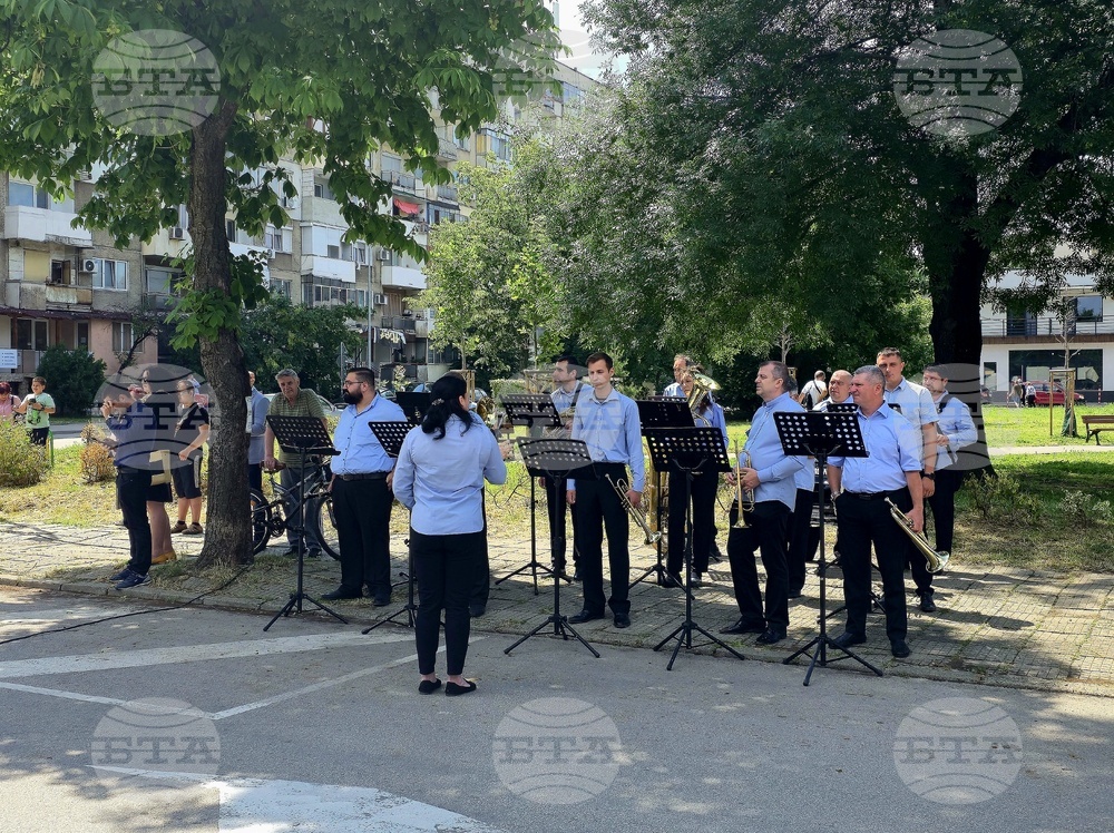 Видин - Ден на Ботев