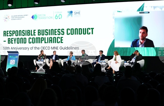 Green Transition Forum 6.0 - панел за ОИСР