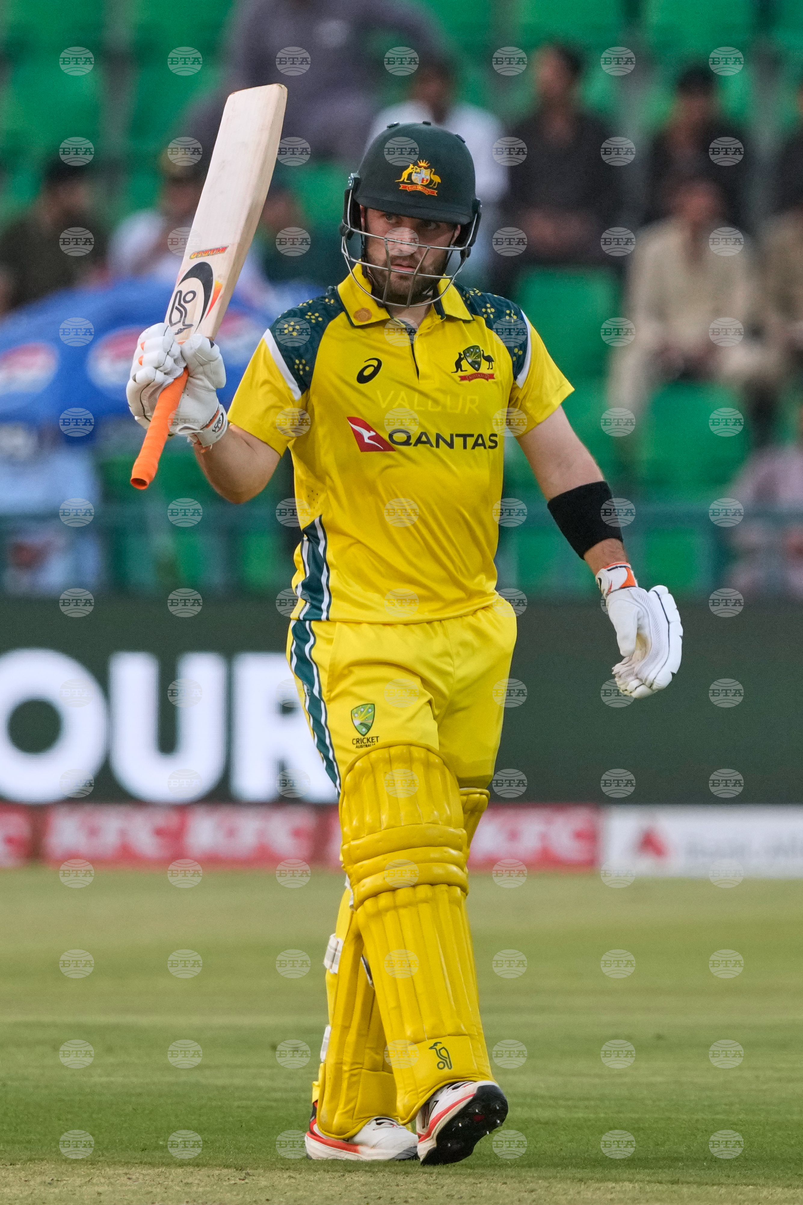Pakistan Australia Cricket