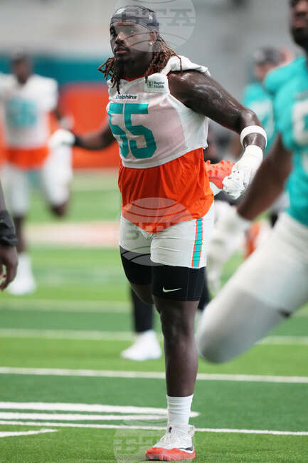 Dolphins Football