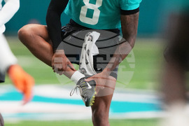 Dolphins Football