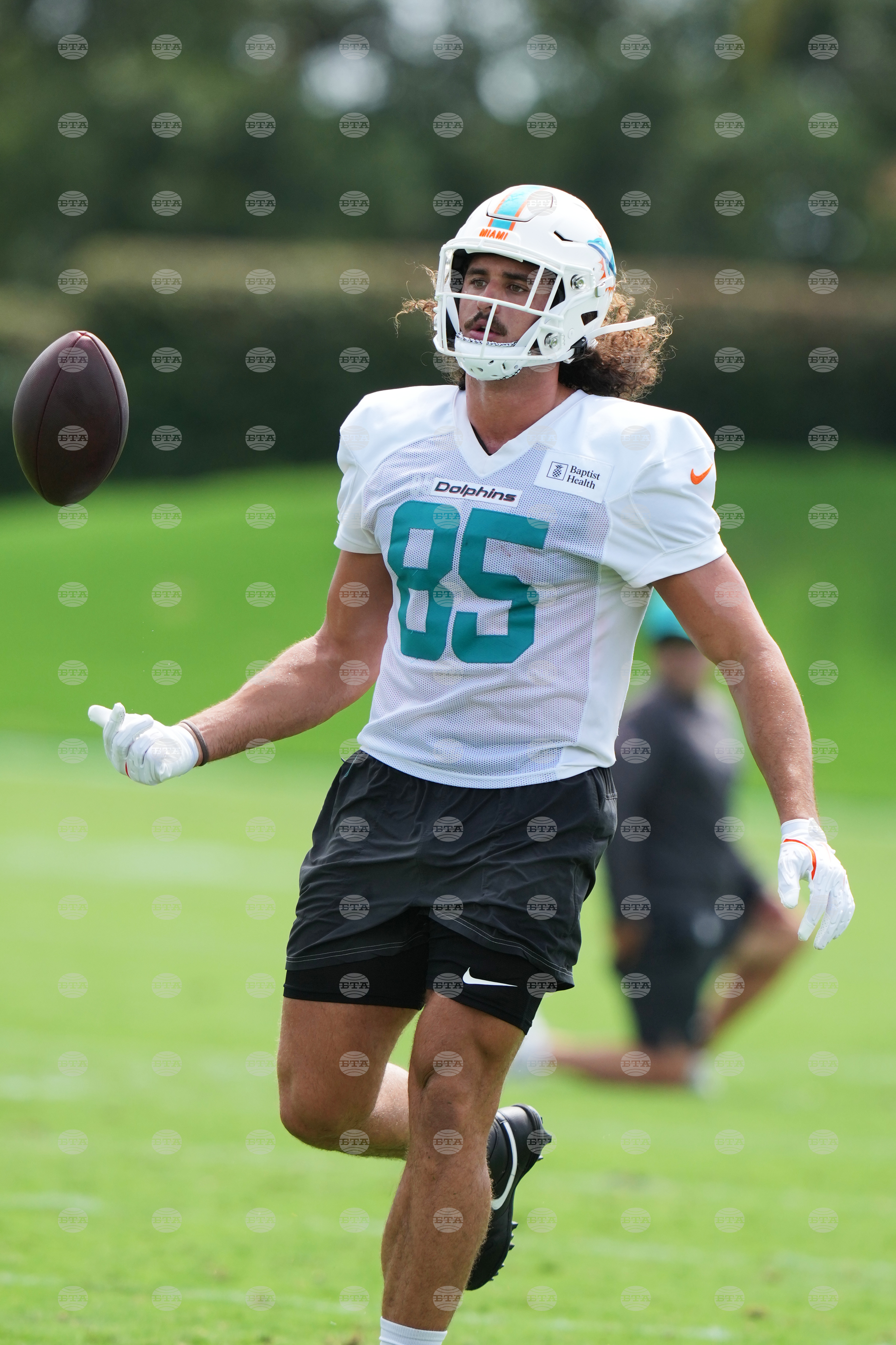 Dolphins Football