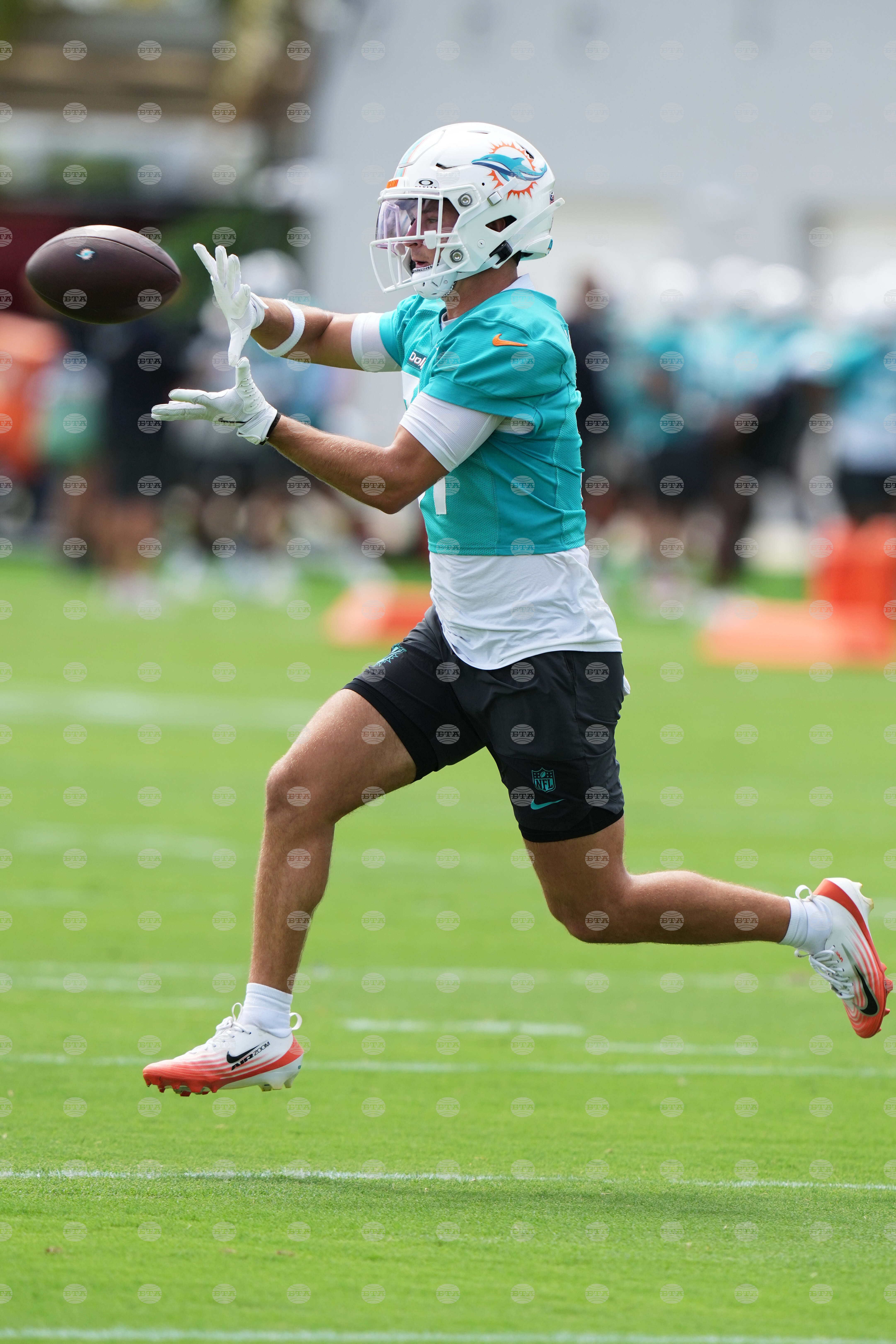 Dolphins Football