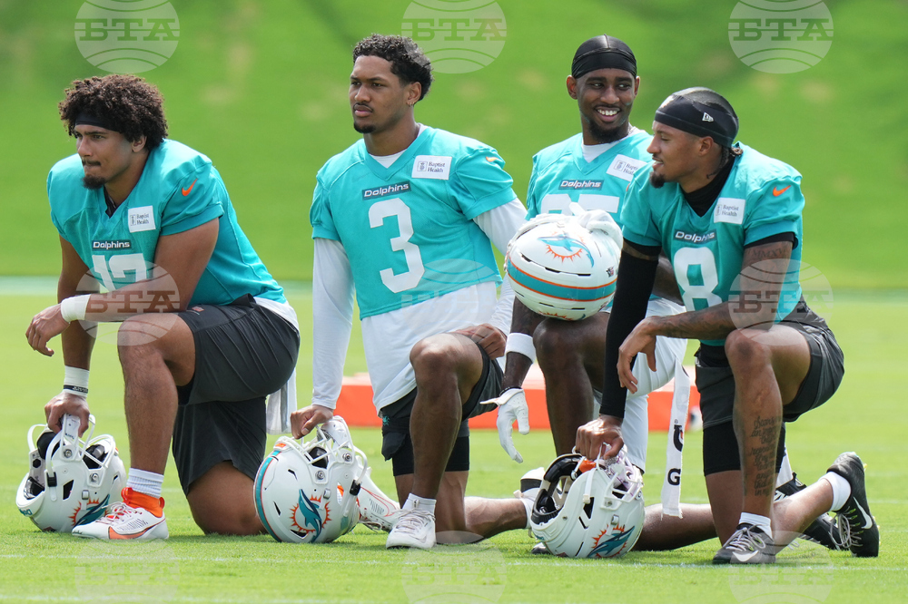 Dolphins Football