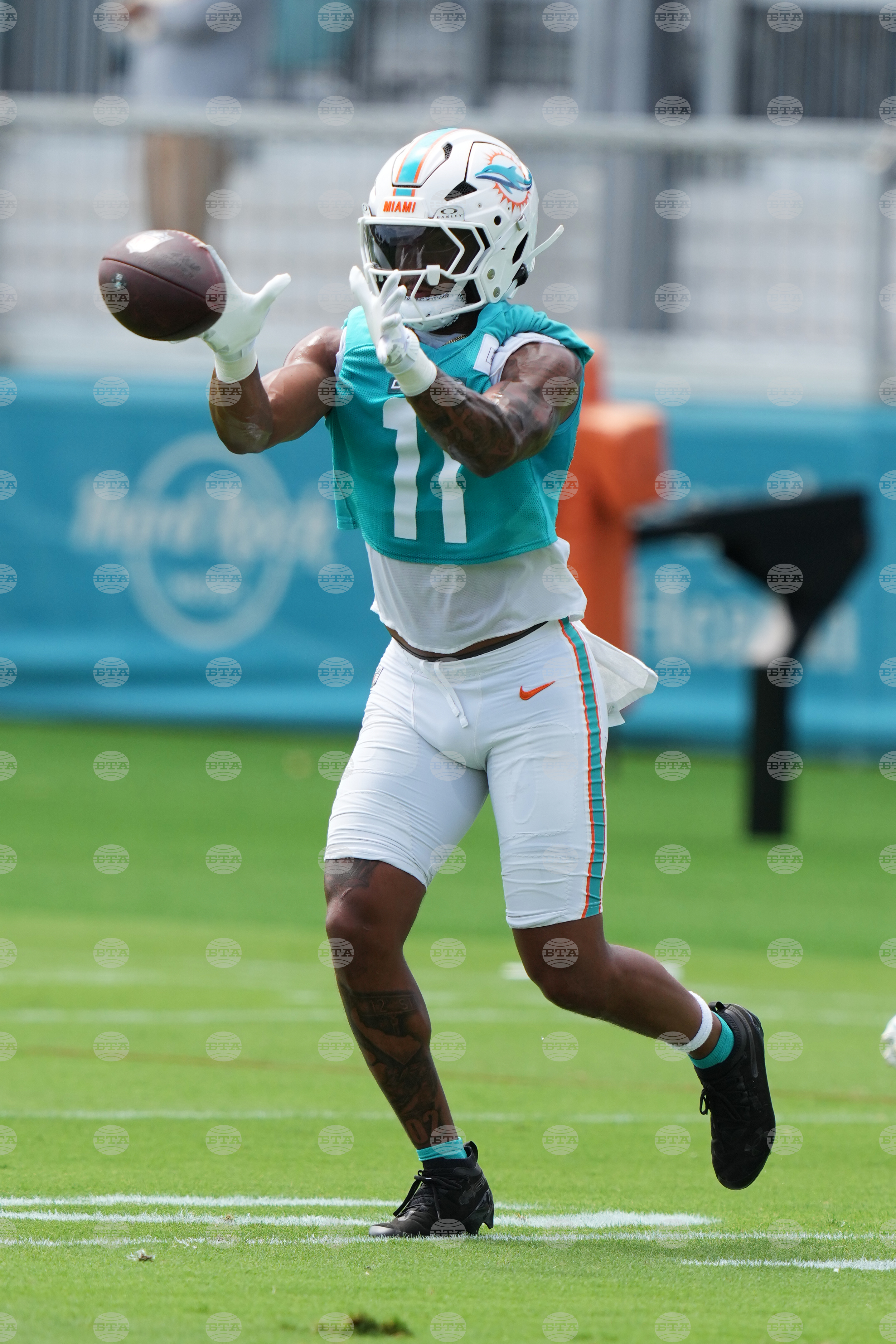 Dolphins Football