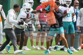 Dolphins Football