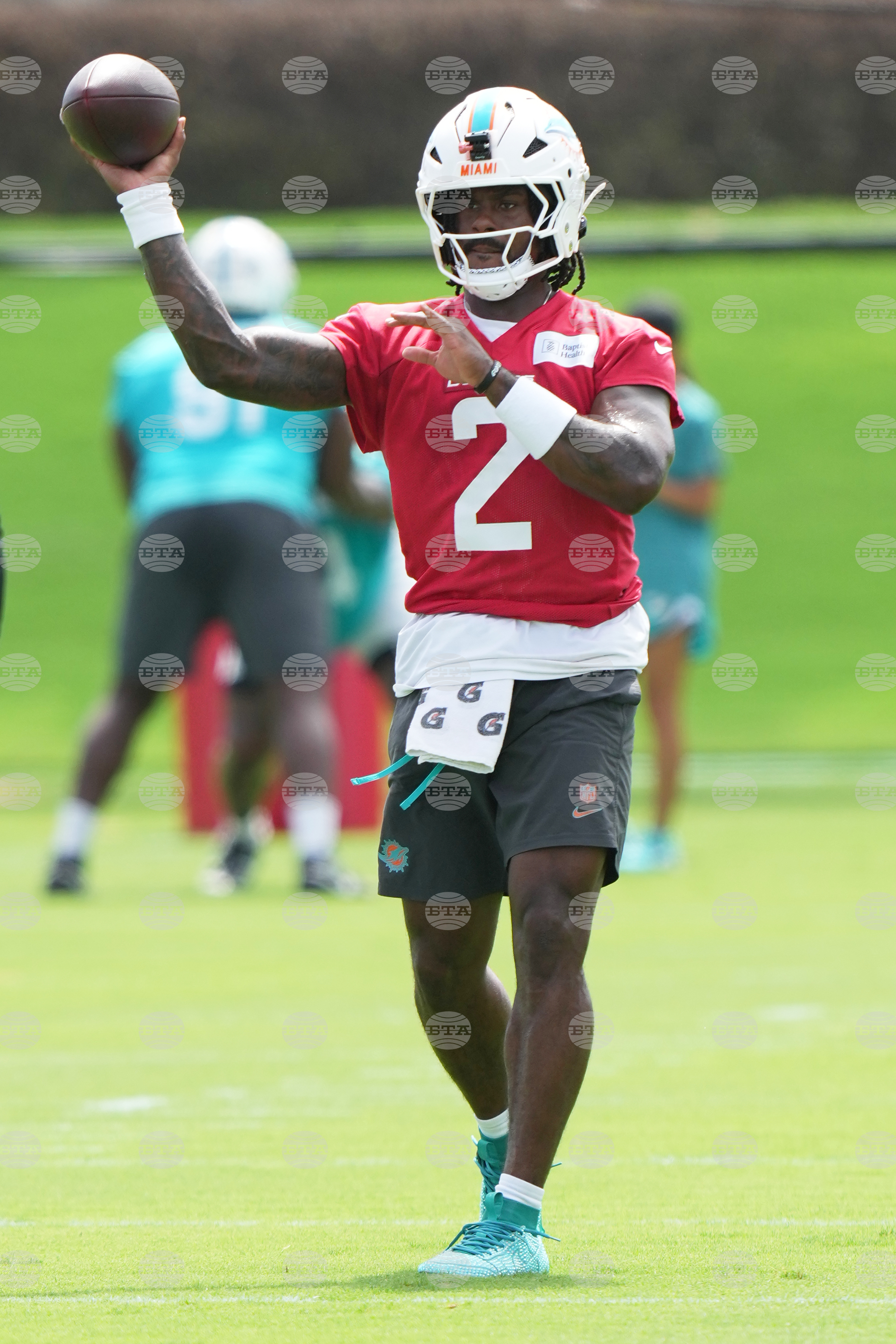 Dolphins Football