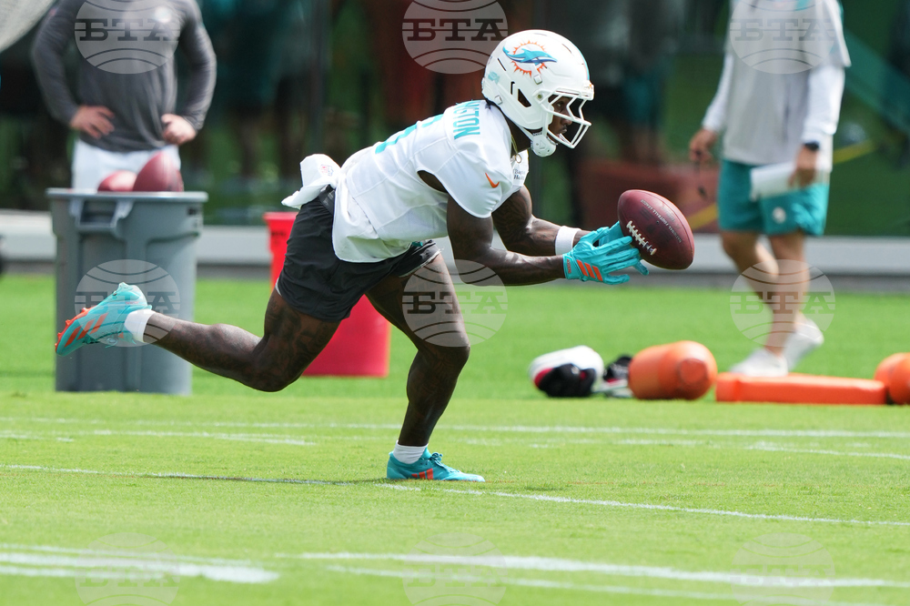 Dolphins Football
